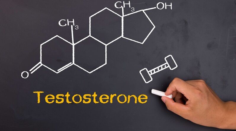 ტესტოსტერონის დონე გავლენას ახდენს მამაკაცის პენისის ზომაზე